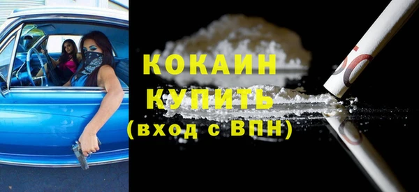 шишки Новосибирск