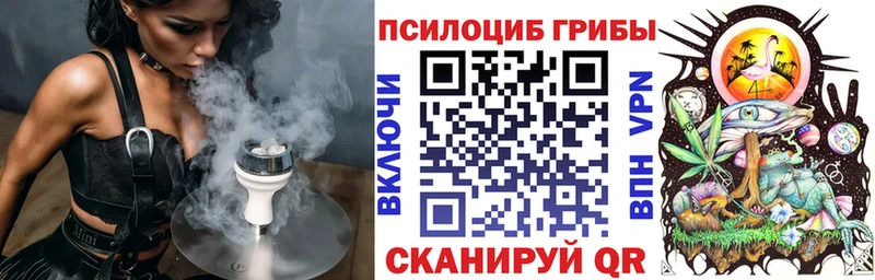 Псилоцибиновые грибы прущие грибы  где купить наркоту  Белорецк 