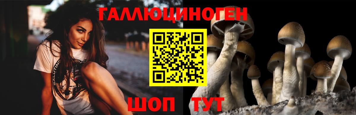 Белорецк  Псилоцибиновые грибы мицелий  как найти   Вход с VPN 